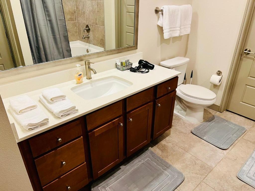 Apartmán Downtown Apart 1 Bed 1 Bath Free Parking Houston Exteriér fotografie